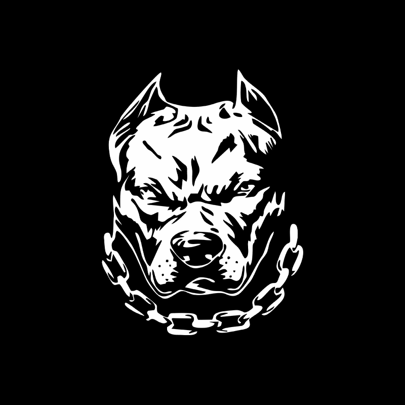 Divertida cabeza de perro, ven - Motorcycle Gear For Dogs reseña y precio