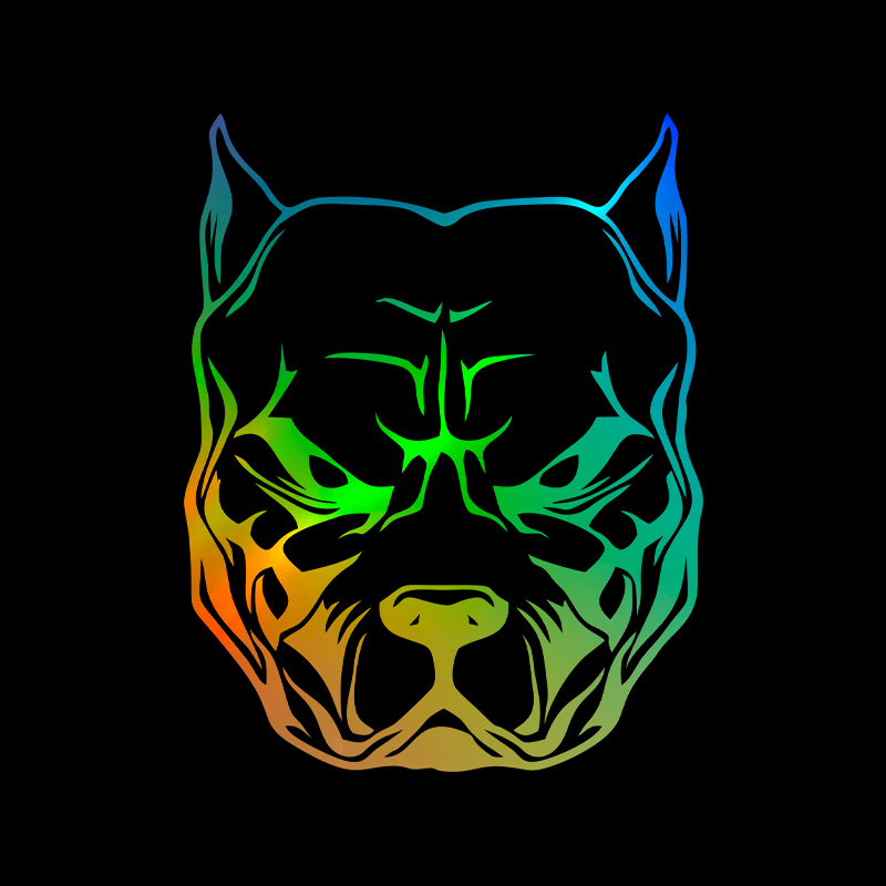 Pegatina de motocicleta con di - Motorcycle Gear For Dogs reseña y precio