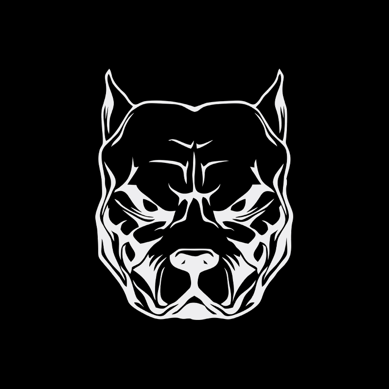 Pegatina de motocicleta con di - Motorcycle Gear For Dogs reseña y precio