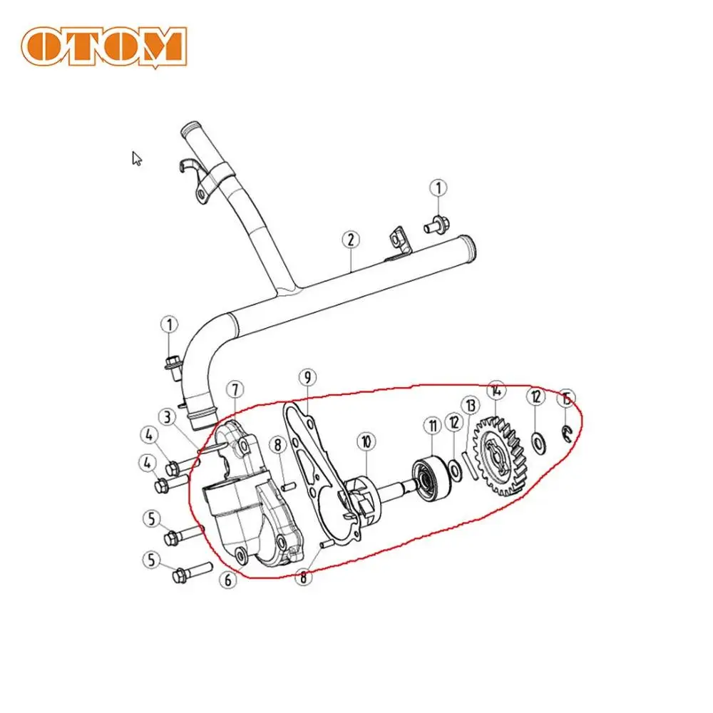 OTOM-mecanismo completo de bom - Motorcycle Gear Oil reseña y precio