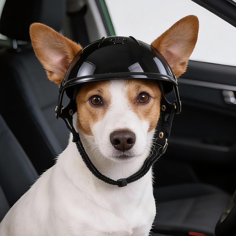 Casco para Mascotas (Perros y  - Motorcycle Gear For Dogs reseña y precio