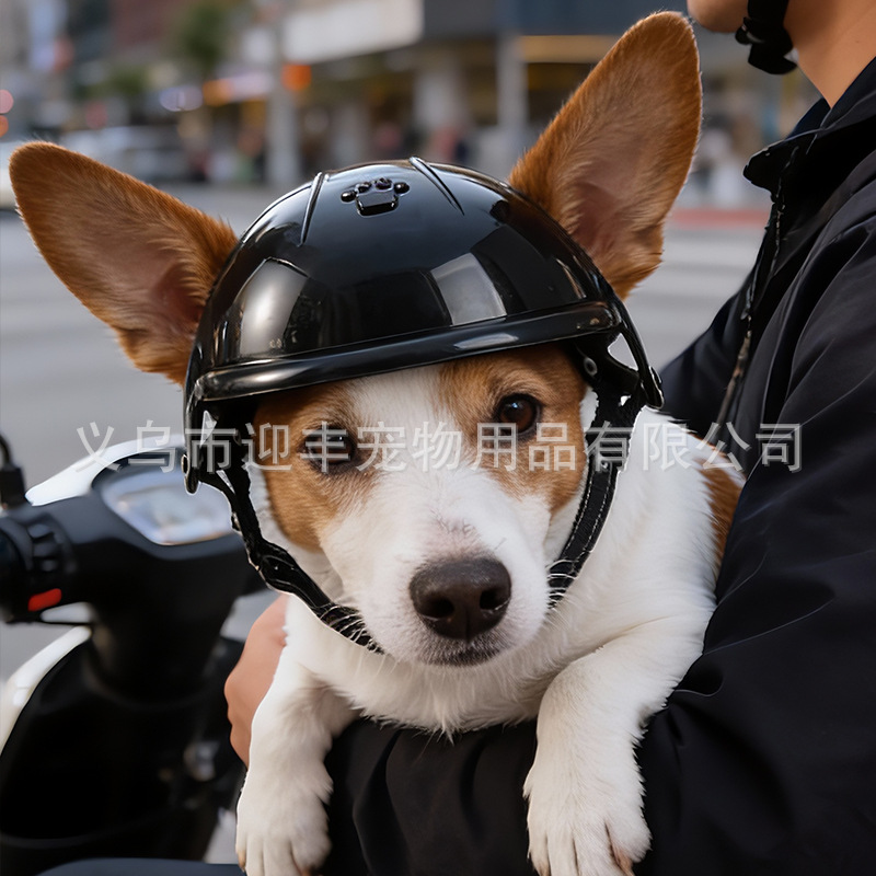 Casco Rosa para Mascotas con O - Motorcycle Gear For Dogs reseña y precio