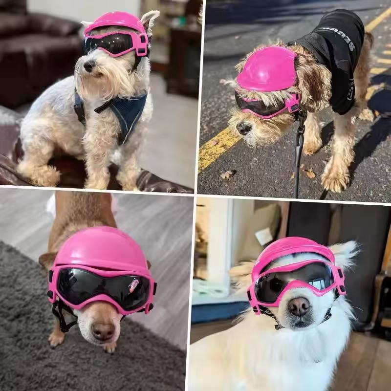 Conjunto de Casco y Gafas para - Motorcycle Gear For Dogs reseña y precio